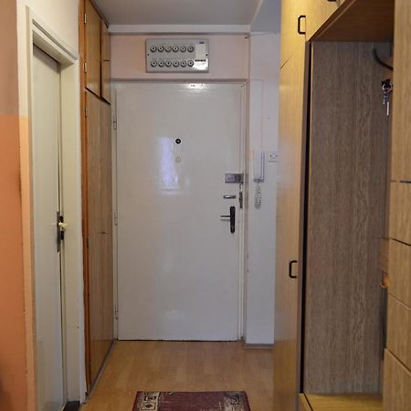 Apartman Nikolic Bor Kültér fotó