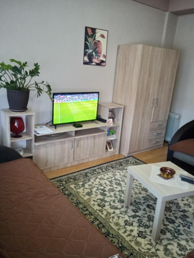 Apartman Nikolic Bor Kültér fotó
