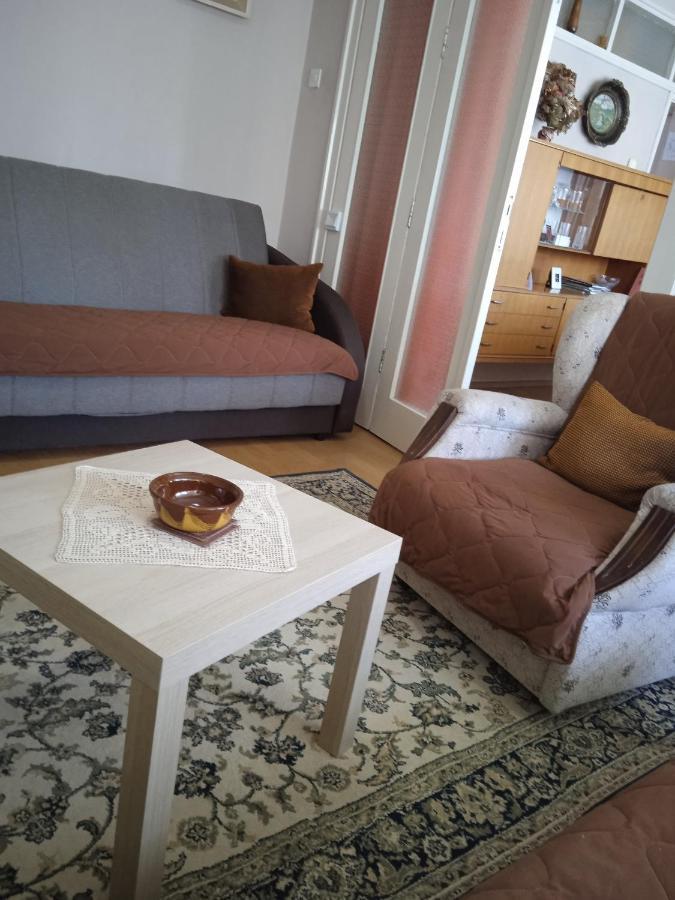 Apartman Nikolic Bor Kültér fotó
