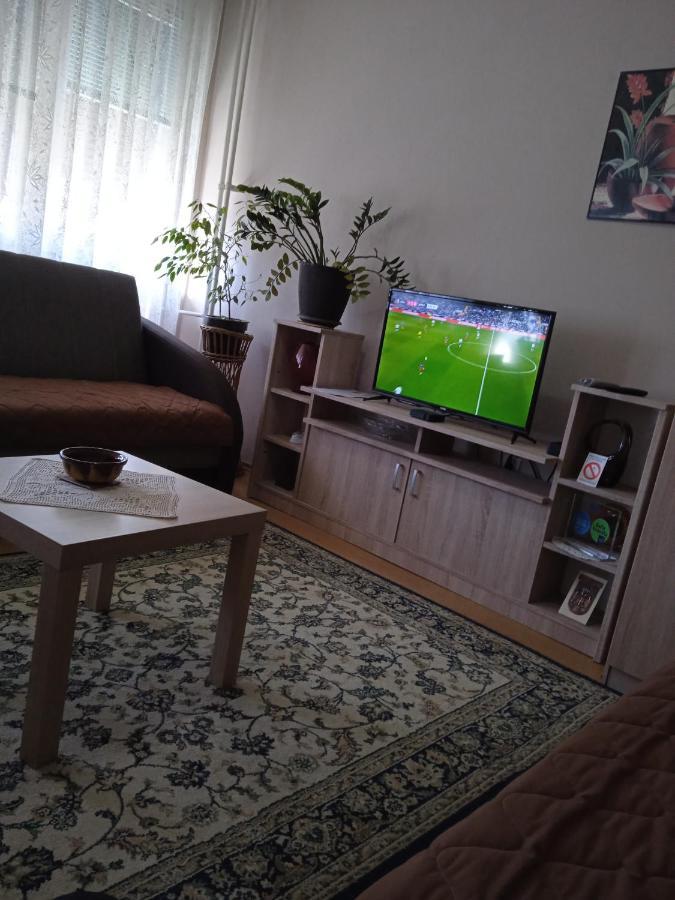 Apartman Nikolic Bor Kültér fotó
