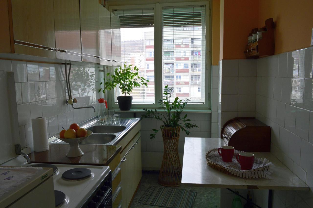 Apartman Nikolic Bor Kültér fotó