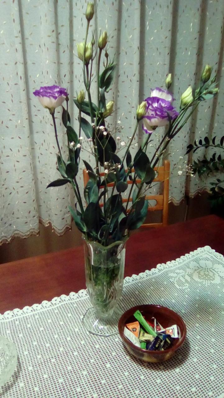 Apartman Nikolic Bor Kültér fotó